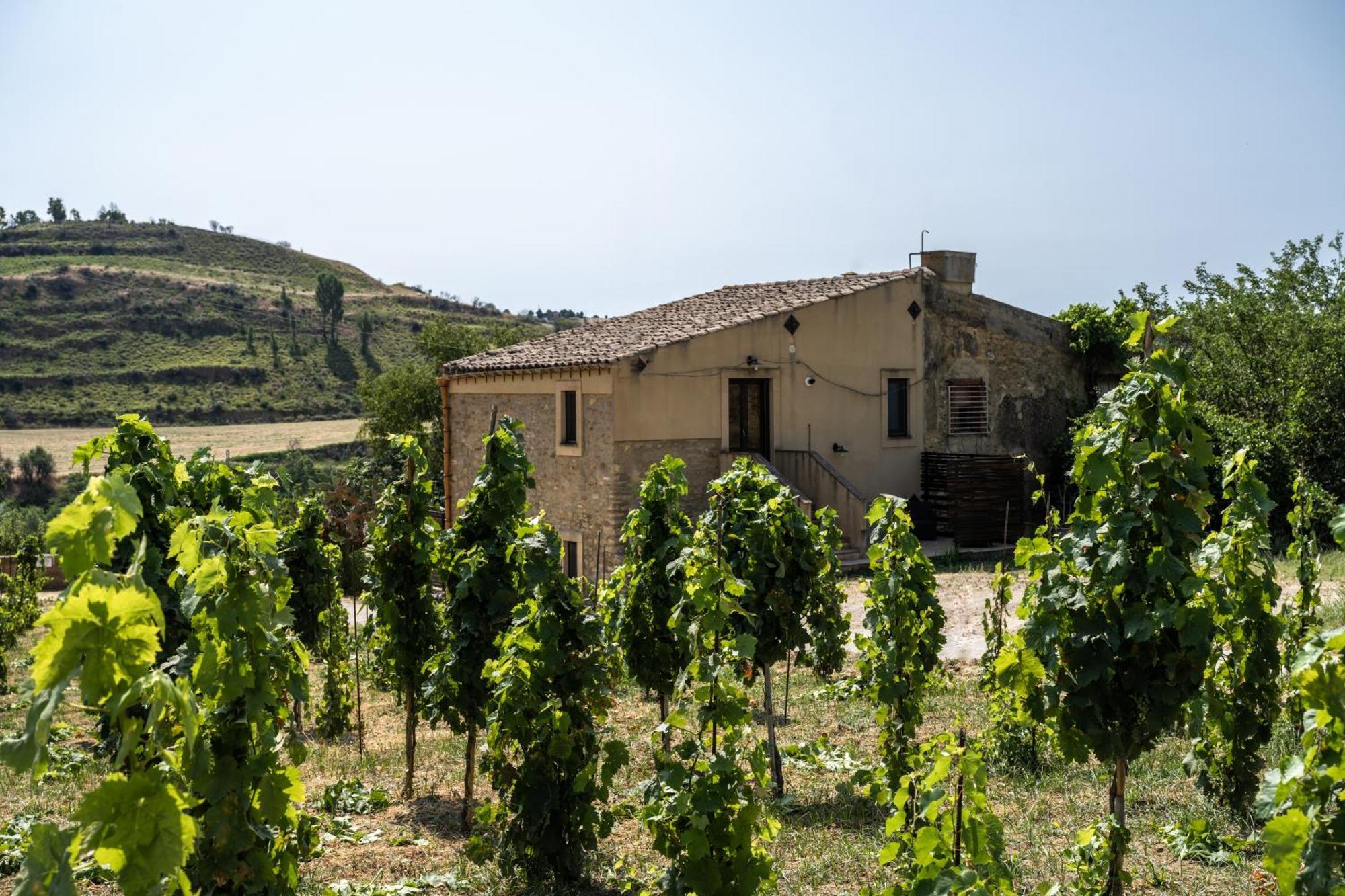 Cottage Immerso Nel Vigneto Caltagirone Exterior foto
